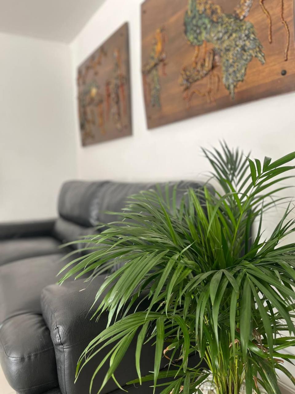 Hotel Otun Plaza פריירה מראה חיצוני תמונה